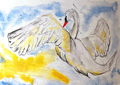 The Dramming Lads The Swan